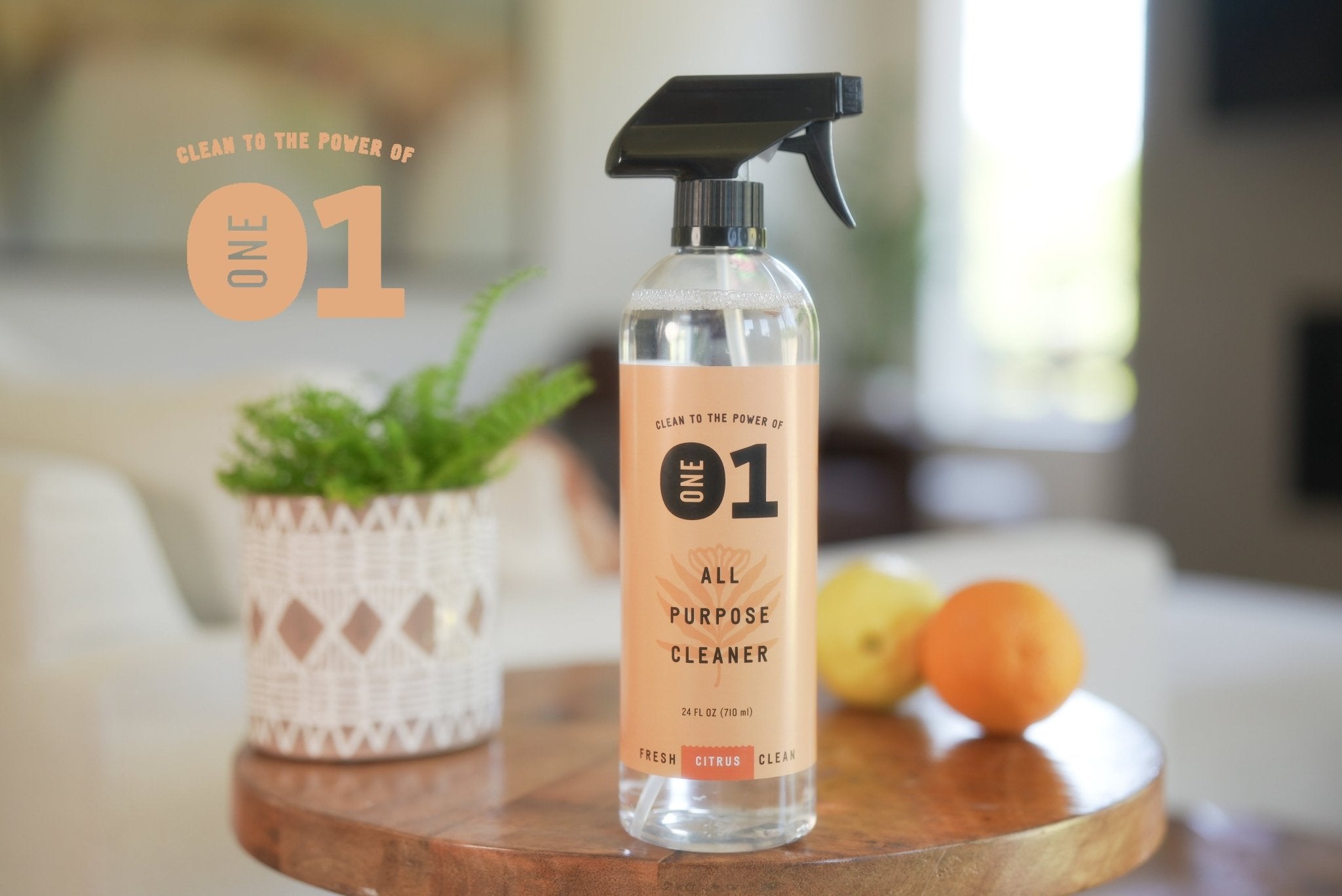 ALL PURPOSE CLEANER (Citrus) - thecleanstart